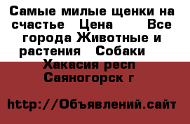 Самые милые щенки на счастье › Цена ­ 1 - Все города Животные и растения » Собаки   . Хакасия респ.,Саяногорск г.